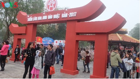 Parlamentspräsidentin Nguyen Thi Kim Ngan besucht die Kirschblüten-Ausstellung in Hanoi - ảnh 1